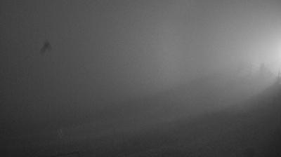 immagine della webcam nei dintorni di Pieve d'Alpago: webcam Piave