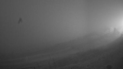 immagine della webcam nei dintorni di Col Indes: webcam Piave