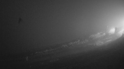 immagine della webcam nei dintorni di Revine Lago: webcam Piave