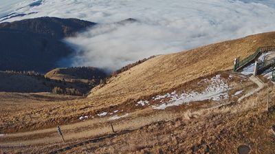 immagine della webcam nei dintorni di Belluno: webcam Piave