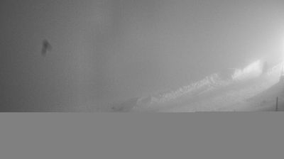 immagine della webcam nei dintorni di Tambre: webcam Piave