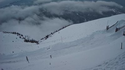 immagine della webcam nei dintorni di Belluno: webcam Piave