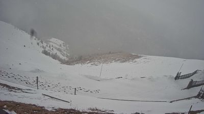 immagine della webcam nei dintorni di Pordenone: webcam Piave