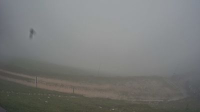 immagine della webcam nei dintorni di Piancavallo: webcam Piave