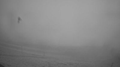immagine della webcam nei dintorni di Tambre: webcam Piave