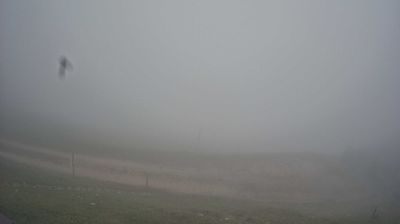immagine della webcam nei dintorni di Belluno: webcam Piave