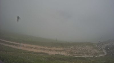 immagine della webcam nei dintorni di Combai: webcam Piave