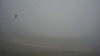immagine della webcam nei dintorni di Limana: webcam Piave