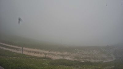 immagine della webcam nei dintorni di Ponte nelle Alpi: webcam Piave