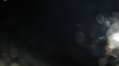 immagine della webcam nei dintorni di Ronciglione: webcam Marta