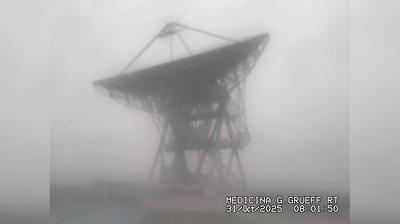 immagine della webcam nei dintorni di San Lazzaro di Savena: webcam Medicina