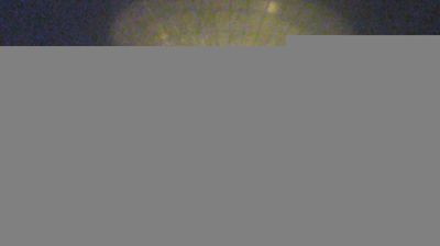 immagine della webcam nei dintorni di Portomaggiore: webcam Medicina