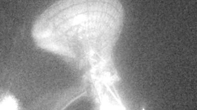 immagine della webcam nei dintorni di Ozzano dell'Emilia: webcam Medicina