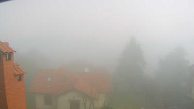 immagine della webcam nei dintorni di Chitignano: webcam Passo della Consuma