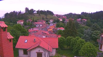 immagine della webcam nei dintorni di Montemignaio: webcam Passo della Consuma
