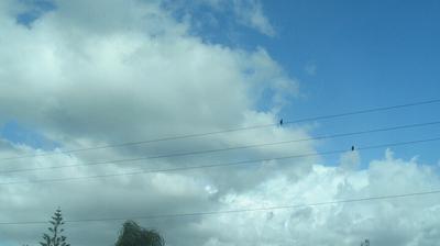 Preview delle webcam di Vittoria