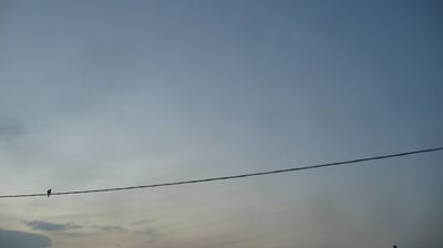 immagine della webcam nei dintorni di Gela: webcam Vittoria