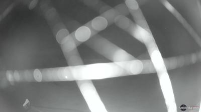 immagine della webcam nei dintorni di Aremogna: webcam Capracotta