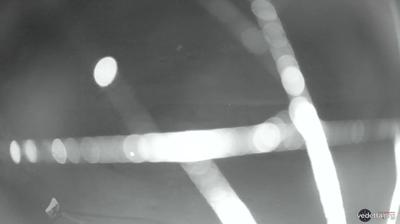 immagine della webcam nei dintorni di Miranda: webcam Capracotta