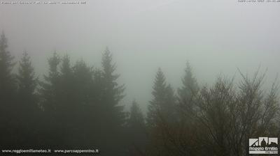 immagine della webcam nei dintorni di Castiglione di Garfagnana: webcam Cerreto Laghi