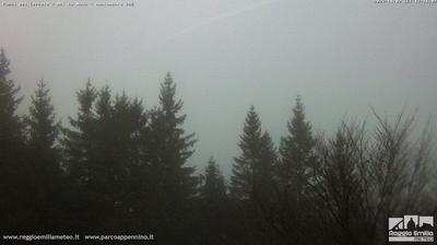 immagine della webcam nei dintorni di Monchio delle Corti: webcam Cerreto Laghi