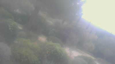 immagine della webcam nei dintorni di Cecina: webcam San Carlo