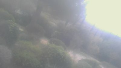 immagine della webcam nei dintorni di Marina di Bibbona: webcam San Carlo