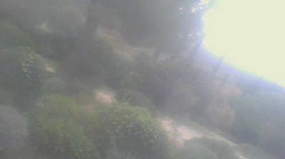 immagine della webcam nei dintorni di Marina Di Cecina: webcam San Carlo