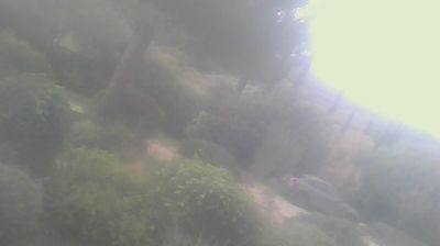 immagine della webcam nei dintorni di Follonica: webcam San Carlo