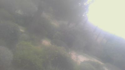 immagine della webcam nei dintorni di Cecina: webcam San Carlo