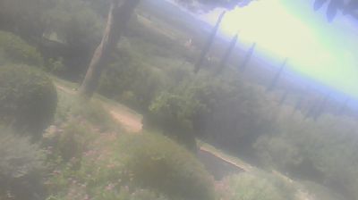immagine della webcam nei dintorni di Vada: webcam San Carlo