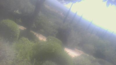 immagine della webcam nei dintorni di Cecina: webcam San Carlo