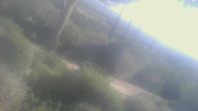 immagine della webcam nei dintorni di Vada: webcam San Carlo