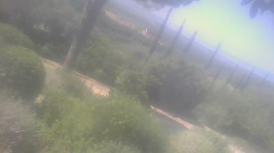 immagine della webcam nei dintorni di Marina Di Castagneto: webcam San Carlo