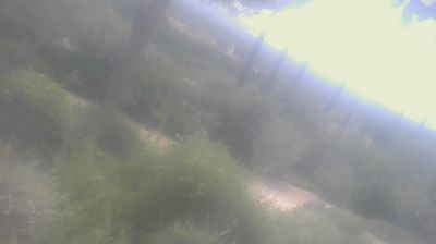 immagine della webcam nei dintorni di Cecina: webcam San Carlo