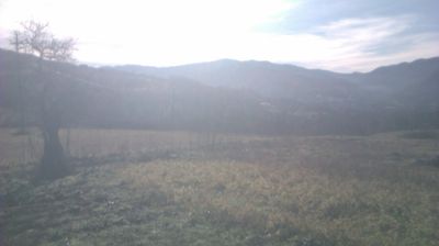 immagine della webcam nei dintorni di Passo del Penice: webcam Cantalupo Ligure