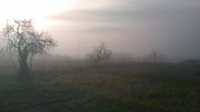 immagine della webcam nei dintorni di Cabella Ligure: webcam Cantalupo Ligure