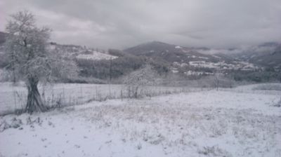 immagine della webcam nei dintorni di Carrosio: webcam Cantalupo Ligure