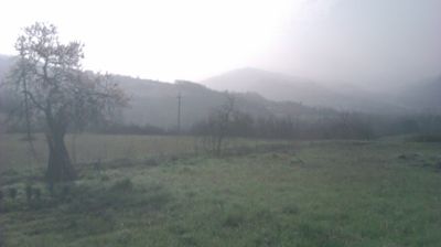 immagine della webcam nei dintorni di Propata: webcam Cantalupo Ligure