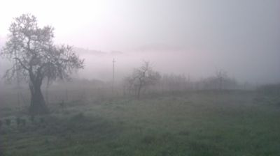 immagine della webcam nei dintorni di Pecetto di Valenza: webcam Cantalupo Ligure