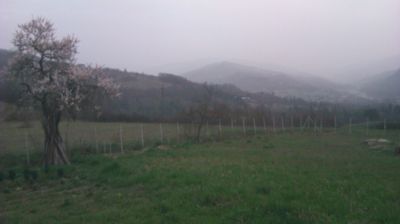 immagine della webcam nei dintorni di Passo del Penice: webcam Cantalupo Ligure