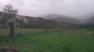 immagine della webcam nei dintorni di Pozzolo Formigaro: webcam Cantalupo Ligure