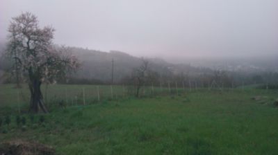 immagine della webcam nei dintorni di Busalla: webcam Cantalupo Ligure