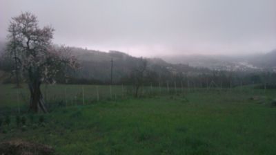 immagine della webcam nei dintorni di Caldirola: webcam Cantalupo Ligure