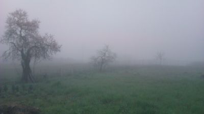 immagine della webcam nei dintorni di Brallo di Pregola: webcam Cantalupo Ligure