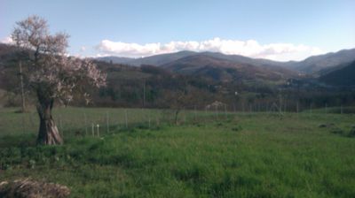 immagine della webcam nei dintorni di Rovegno: webcam Cantalupo Ligure