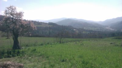 immagine della webcam nei dintorni di Pozzolo Formigaro: webcam Cantalupo Ligure