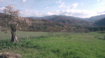 immagine della webcam nei dintorni di Cabella Ligure: webcam Cantalupo Ligure