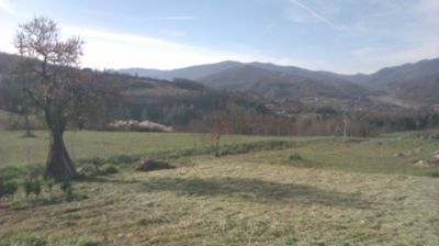 immagine della webcam nei dintorni di Bobbio: webcam Cantalupo Ligure
