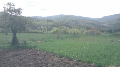 immagine della webcam nei dintorni di Brignano-Frascata: webcam Cantalupo Ligure